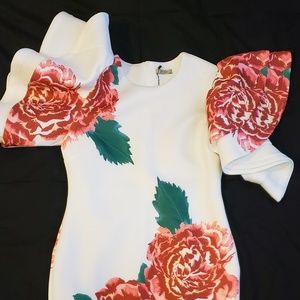 Gorgeous Dress! Showstopper!